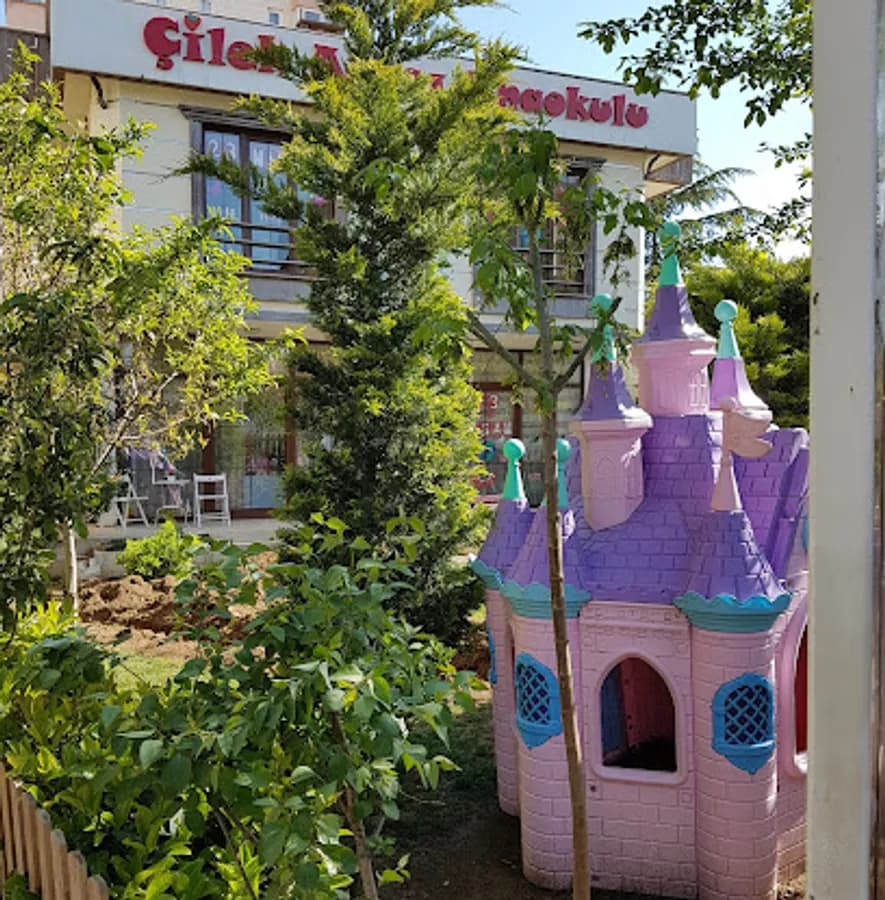 Özel Çilek Ağacı Anaokulları - Fotoğraf