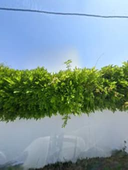 Çizgi Film Çocuk Evi İnciraltı Kampüsü - Fotoğraf