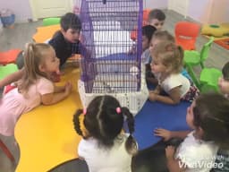 Gök ve Su Anaokulu - Fotoğraf