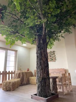 Pastelköy Preschool | Pastel Köy Çayyolu Alacaatlı Ümitköy İncek Kreş Anaokulu - Fotoğraf