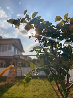 Küçük İnsanlar Dünyası Anaokulu - Photo