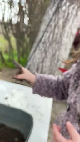 Kariyer Akademi Özel Edremit Yüksek Anaokulu - Fotoğraf