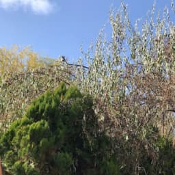 Koality Time Anaokulu - Fotoğraf