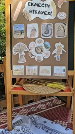 Kurtköy Vefa Anaokulu - Fotoğraf