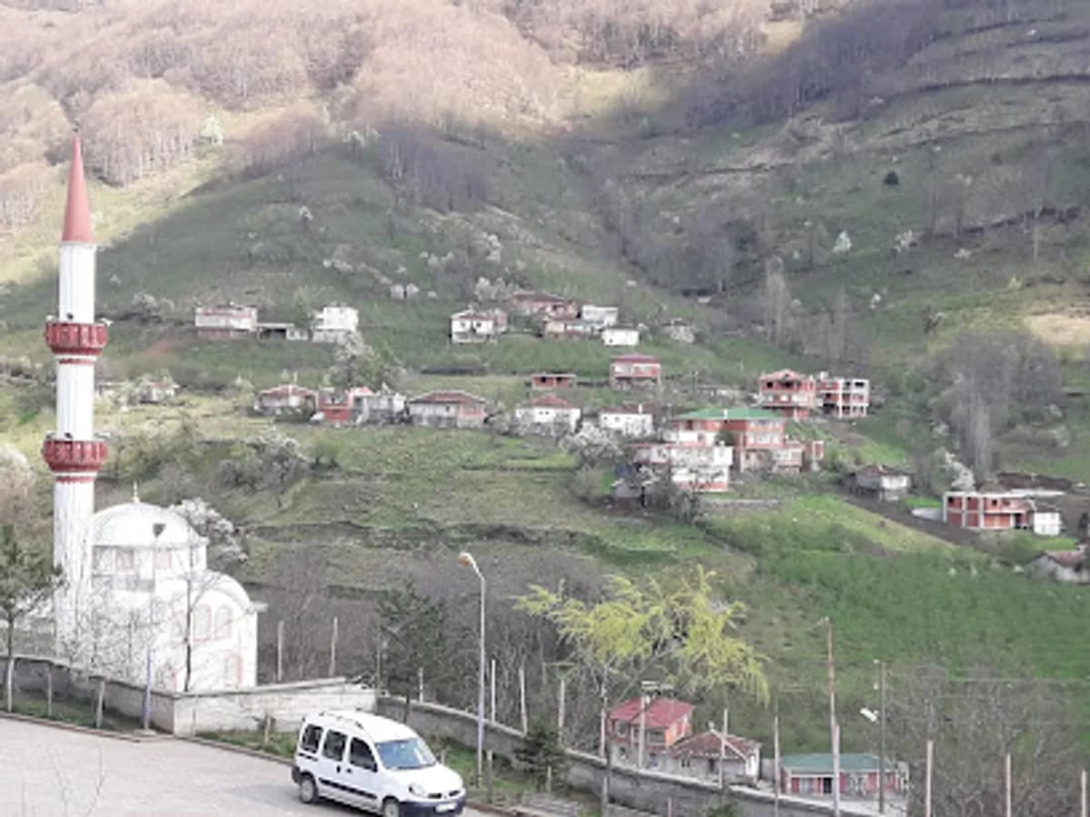 Zaferi Milli İlköğretim Okulu - Fotoğraf