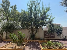 Panda Anaokulu - Fotoğraf