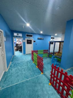 Özel Mardin İlk Gelişim Anaokulu - Fotoğraf