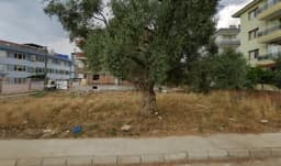 Özel Dünya Anaokulu - Photo