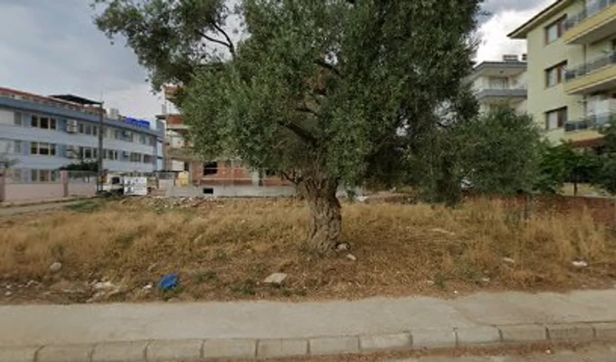 Özel Dünya Anaokulu - Photo