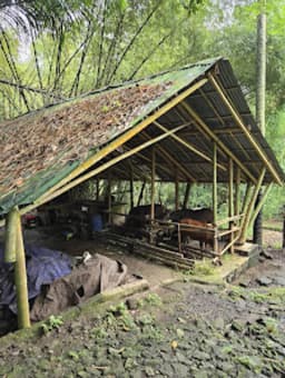 Aliağa Çınar Anaokulu - Fotoğraf