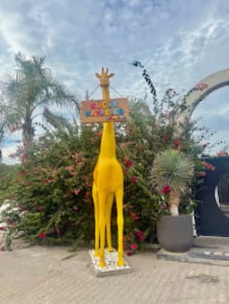 Küçük Hayaller Anaokulu - Fotoğraf