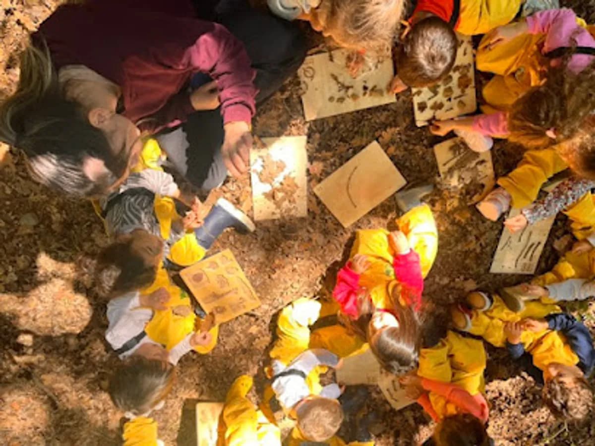 Orman Anaokulu - Fotoğraf