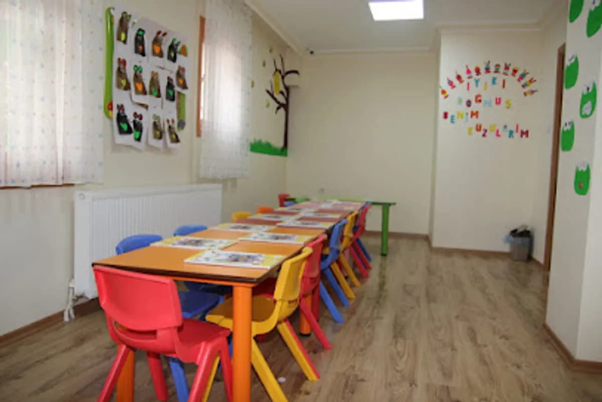 Şefkat Dünyası Anaokulu ve Etüt Merkezi - Fotoğraf