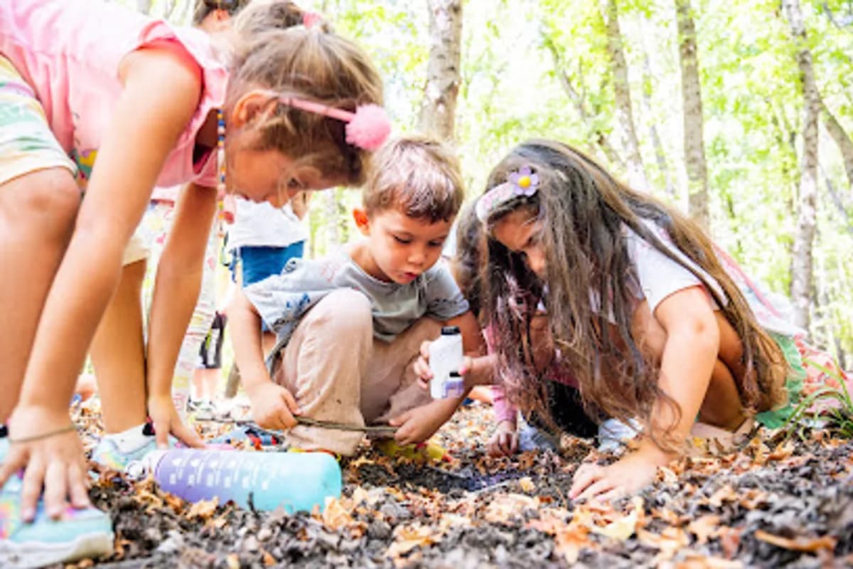 Hayata Doğru Anaokulu - Photo