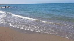 Ordu Bahçeşehir Koleji - Fotoğraf