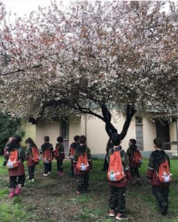 Özel Zeynep Şahika Anaokulu - Fotoğraf