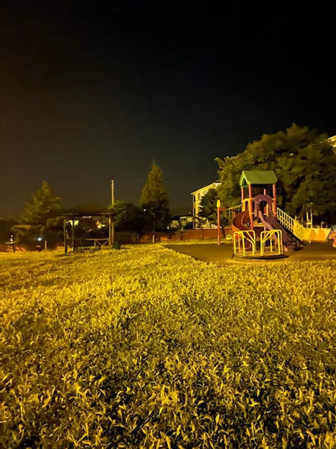 Ali Rıza Önder Anaokulu - Fotoğraf