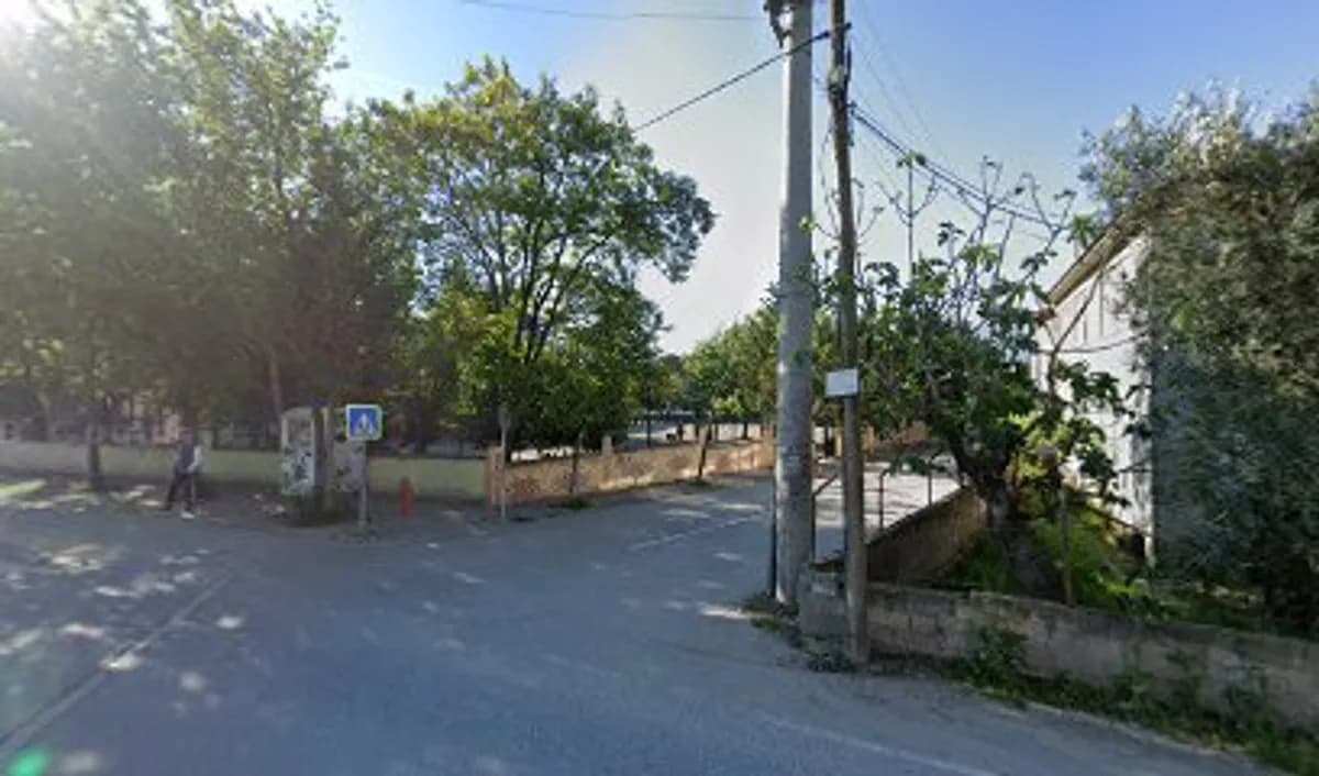 Fatma Hanım İöo - Fotoğraf