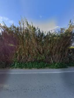 Çizgi Film - Fotoğraf