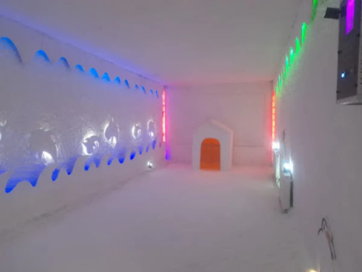 Özel Çamlıca Gülveren Anaokulu - Fotoğraf