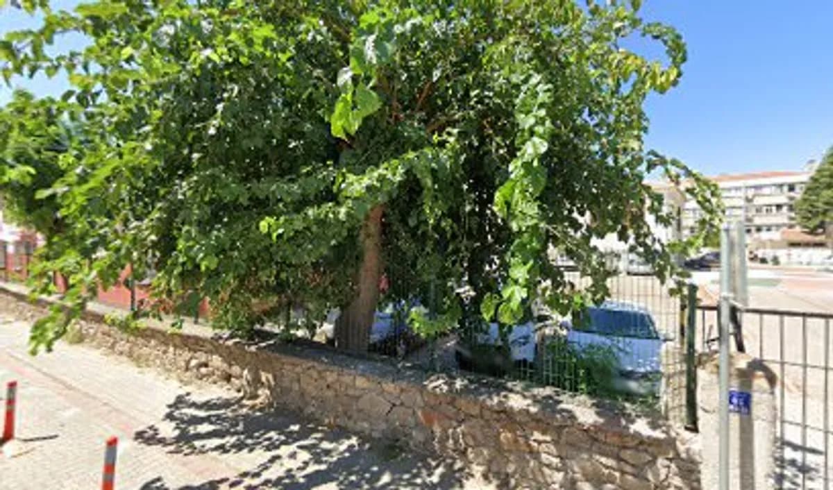 Cumhuriyet Anaokulu Çanakkale Merkez - Fotoğraf