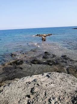 Kemer Özel Ayışığı Anaokulu - Fotoğraf