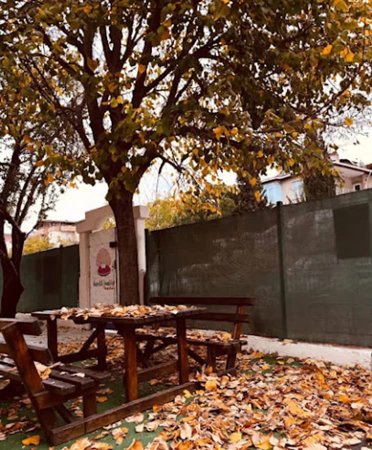 Özel Renkli İnciler Anaokulu - Fotoğraf