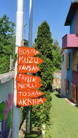 Akrida Sultanbeyli Anaokulu - Fotoğraf