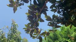 Bandirma Özel Hatem Anaokulu ve Çocuk Atölyesi - Fotoğraf