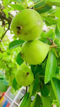 Şerifali Minirenk Anaokulu | Minirenk Okulları - Fotoğraf