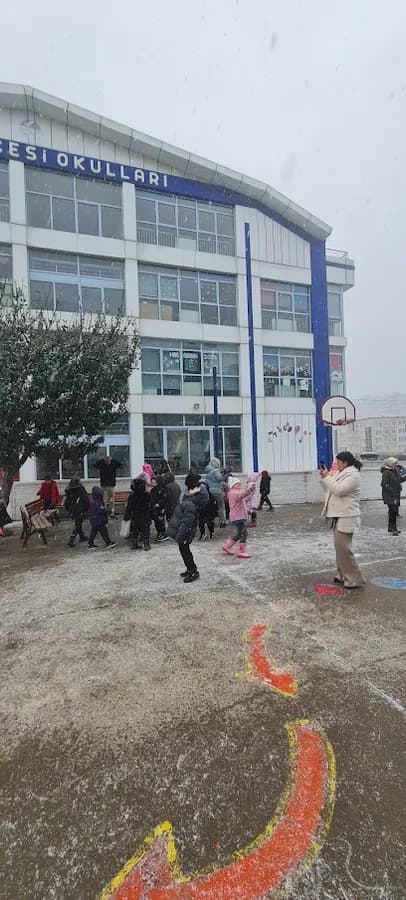 Özel İzmit Düş Bahçesi İlkokulu - Photo