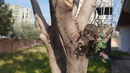 Abdullah Cem Turhan Anaokulu - Fotoğraf