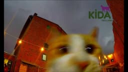 Kida Okulları Şanlıurfa - Fotoğraf