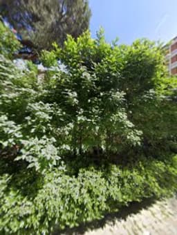 Saysen Anaokulları - Fotoğraf