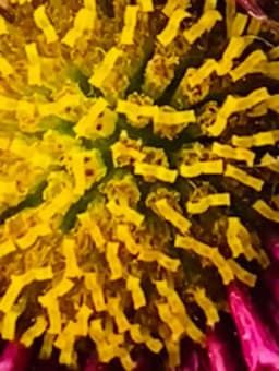 Altınçağ Anaokulu - Fotoğraf