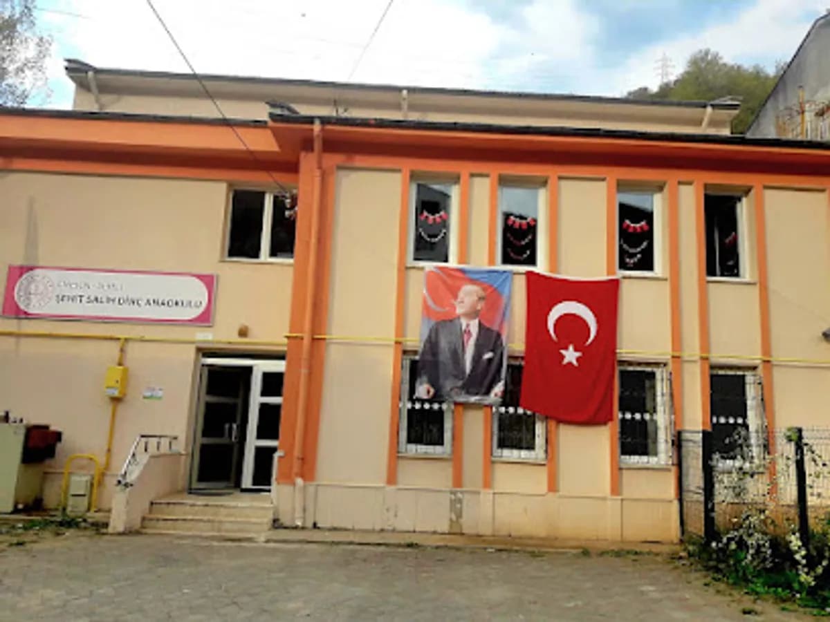 Dereli Şehit Salih Dinç Anaokulu - Fotoğraf