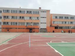 Dikili Çok Programlı Anadolu Lisesi - Fotoğraf