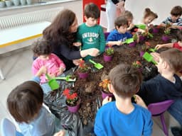 British Culture Anaokulu - Fotoğraf