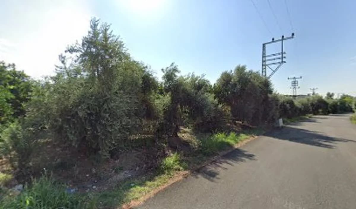 Acarmantas İlkokulu - Fotoğraf