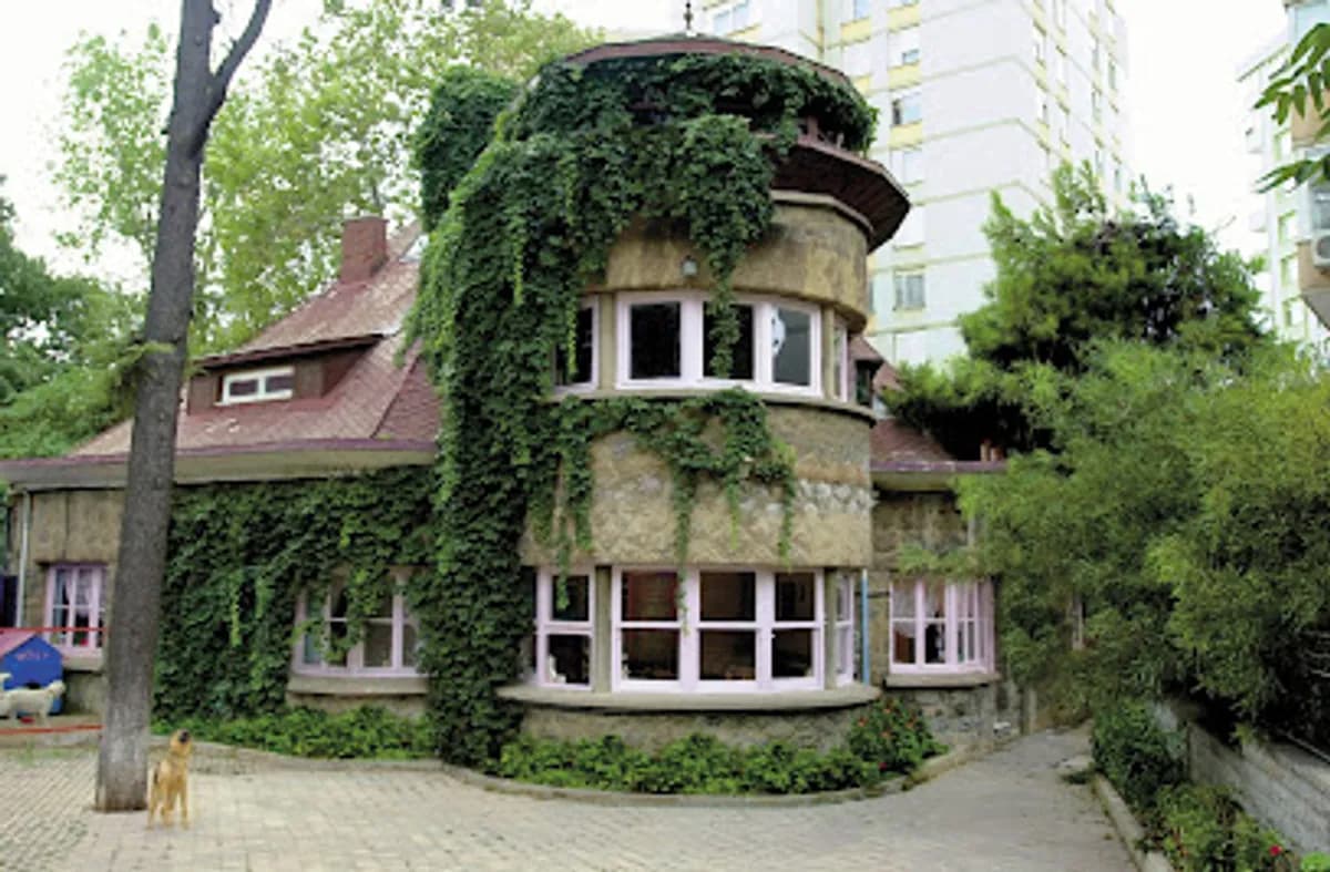 Sare Şafak Anaokulu - Fotoğraf