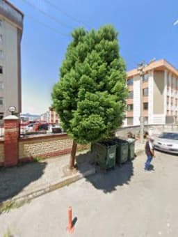 Fındıkyurdu Anaokulu - Fotoğraf