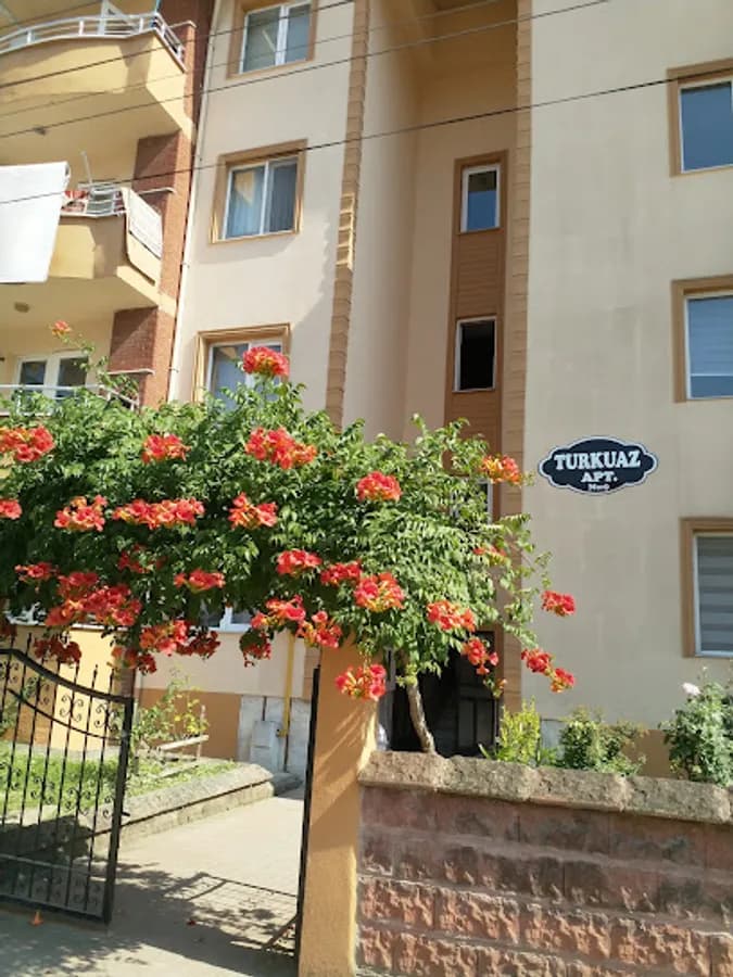 Şehit Üsteğmen Aydın Aydoğmuş İlköğretim Okulu - Photo