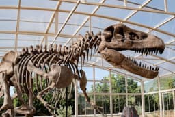 Bilimsev Koleji - Fotoğraf