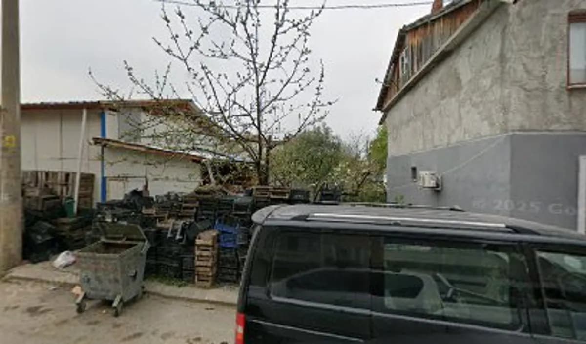 Ayva Çiçeği Anaokulu - Fotoğraf