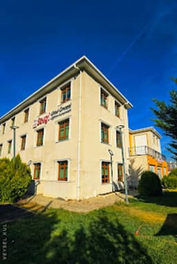 Sevgi Papatyalari - Fotoğraf