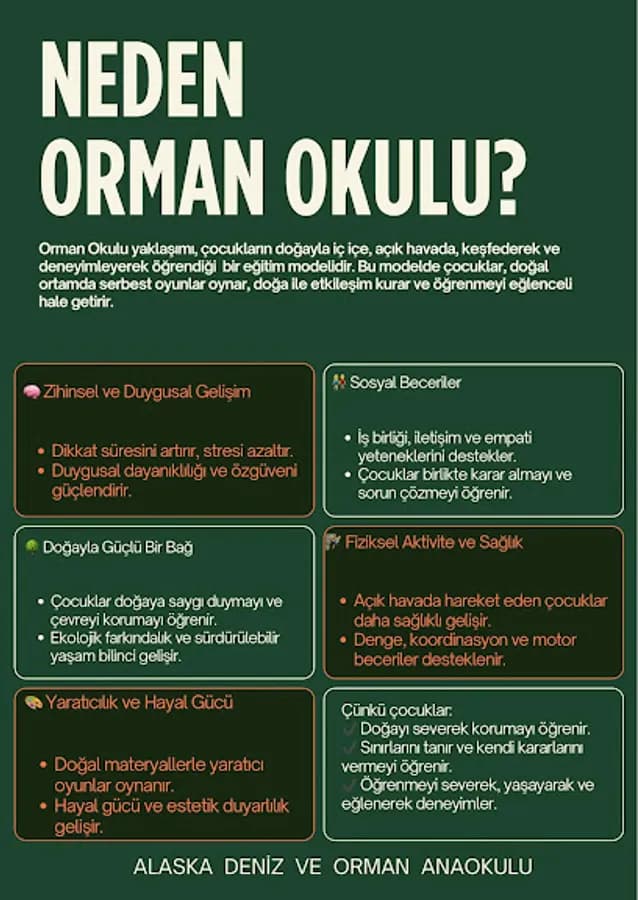 Antalya Deniz ve Orman Anaokulu - Fotoğraf