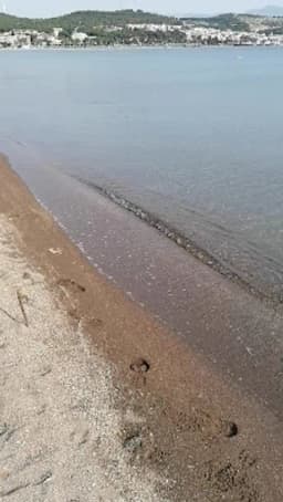 Aliağa Çınar Anaokulu - Fotoğraf