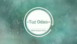 Minik Kaşifler Anaokulu - Fotoğraf