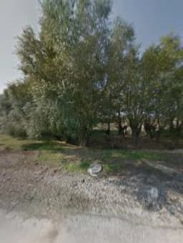 Fidanlar Anaokulu - Fotoğraf