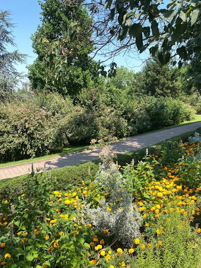 Düzce İnci Yıldız Anaokulu